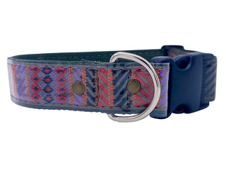 Coach Dog Collar | Kitsch Dog Collar | Hazy Sunshine