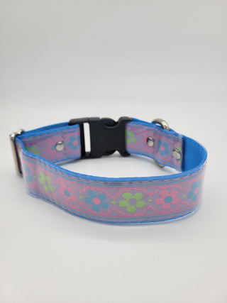 Not Your Grandma's Couch Collar