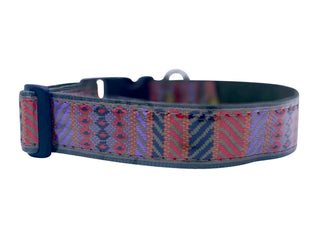 Coach Dog Collar | Kitsch Dog Collar | Hazy Sunshine